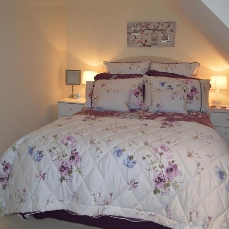 Pwll-Y-Faedda Bed & Breakfast 比尔斯韦尔斯 外观 照片